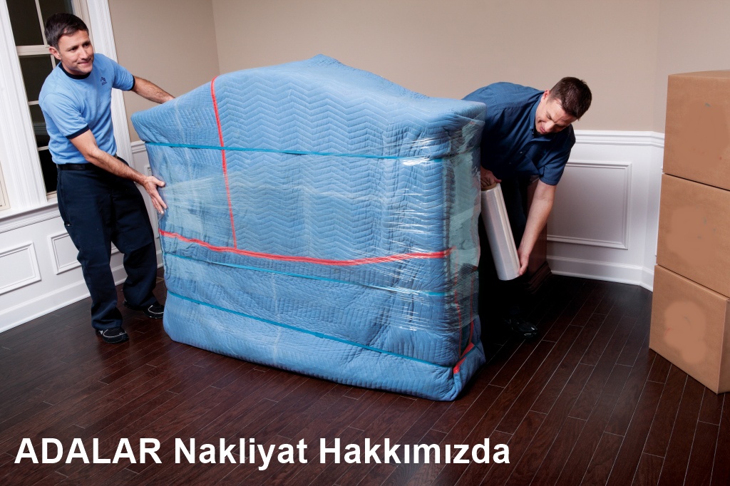 adalarnakliyathakkimizda